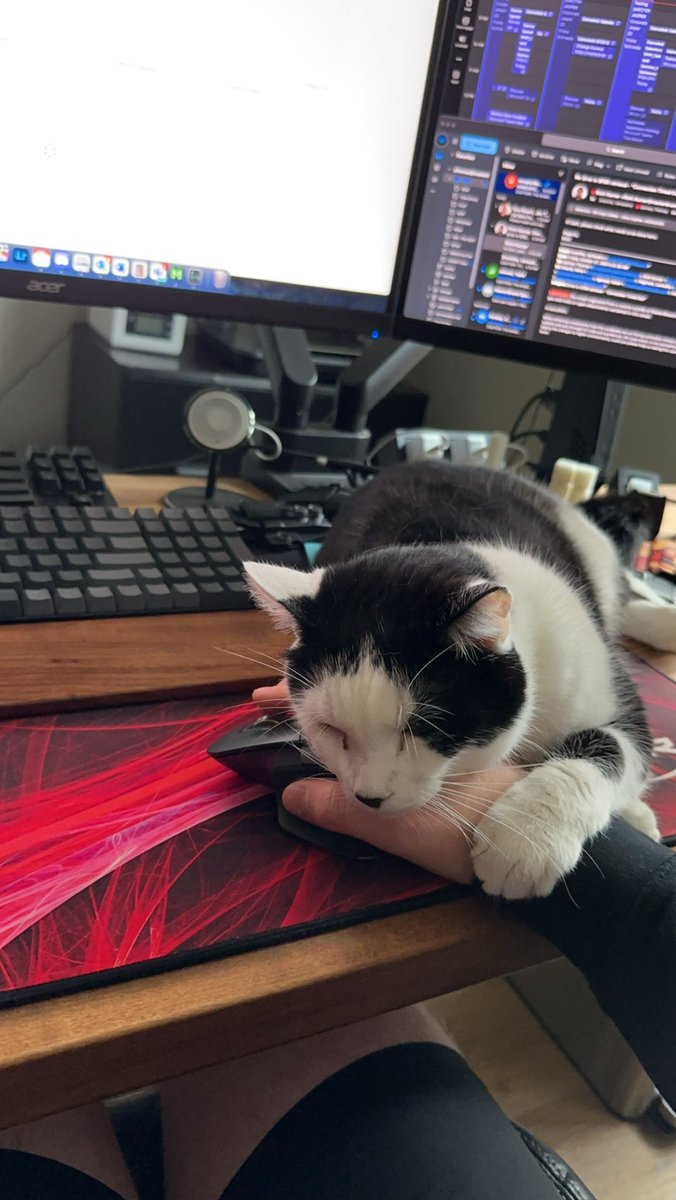 zackthomas_99's tweet photo. @HyperX Can confirm https://t.co/gWivhVJYU1