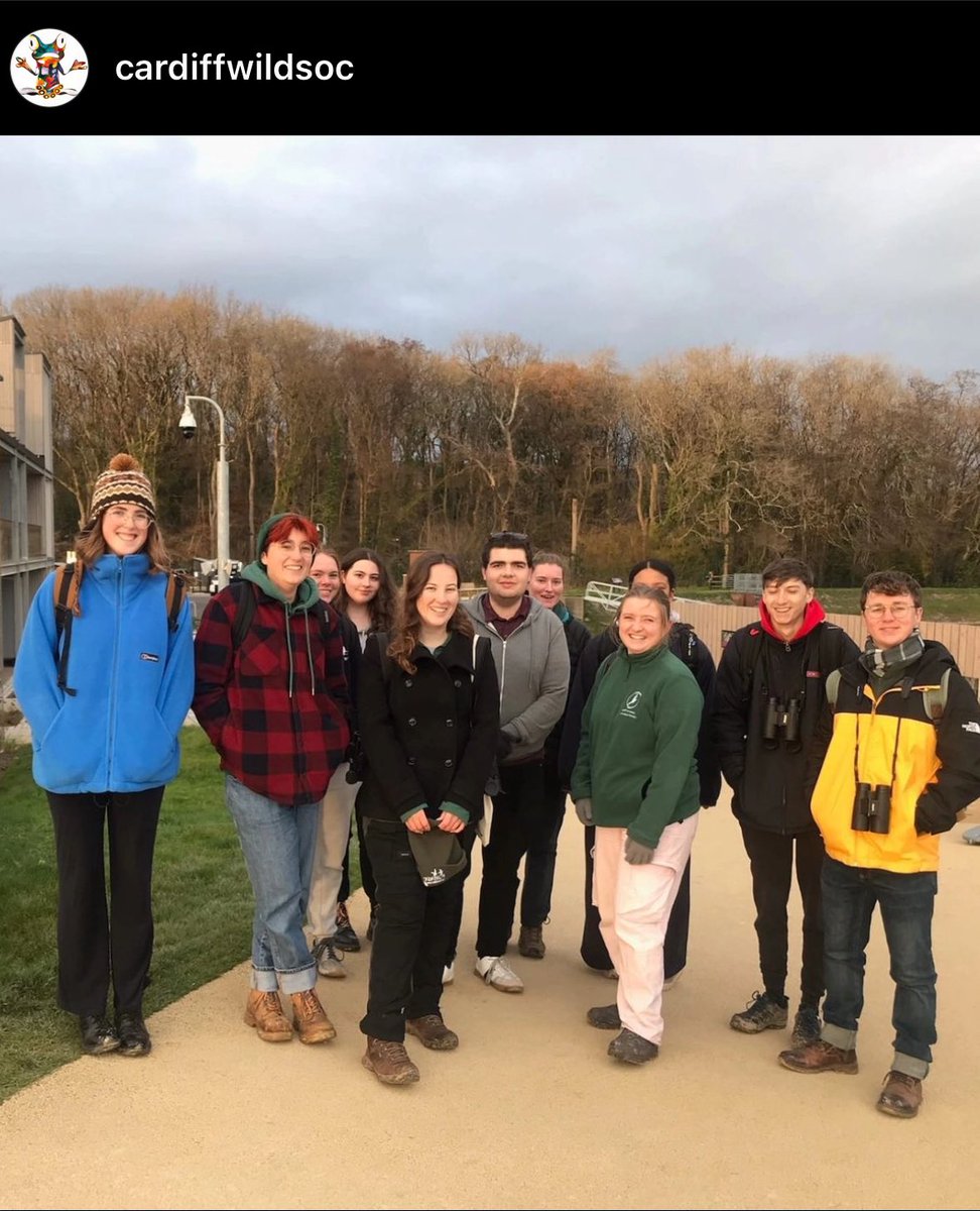 Harry Hiscox tweet media