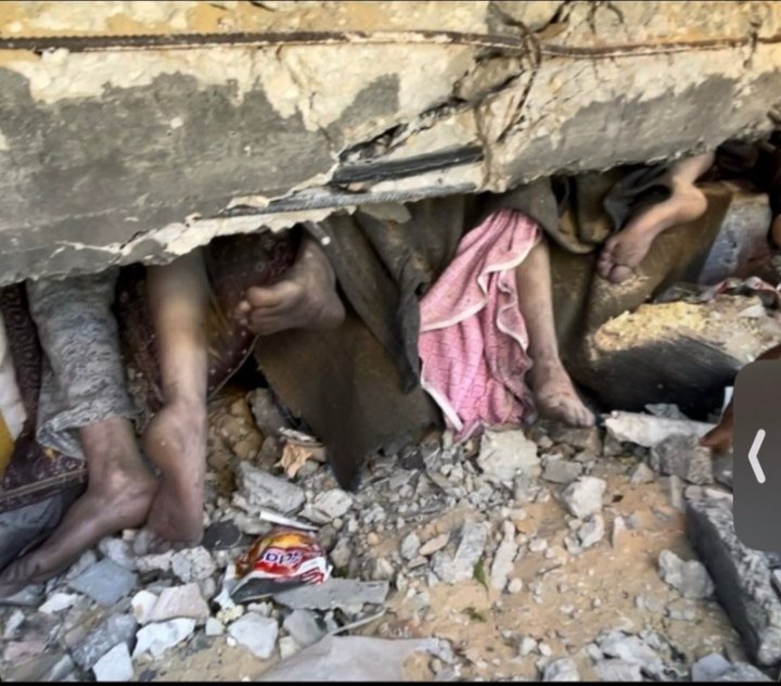 KharezmAlgoritm's tweet image. 