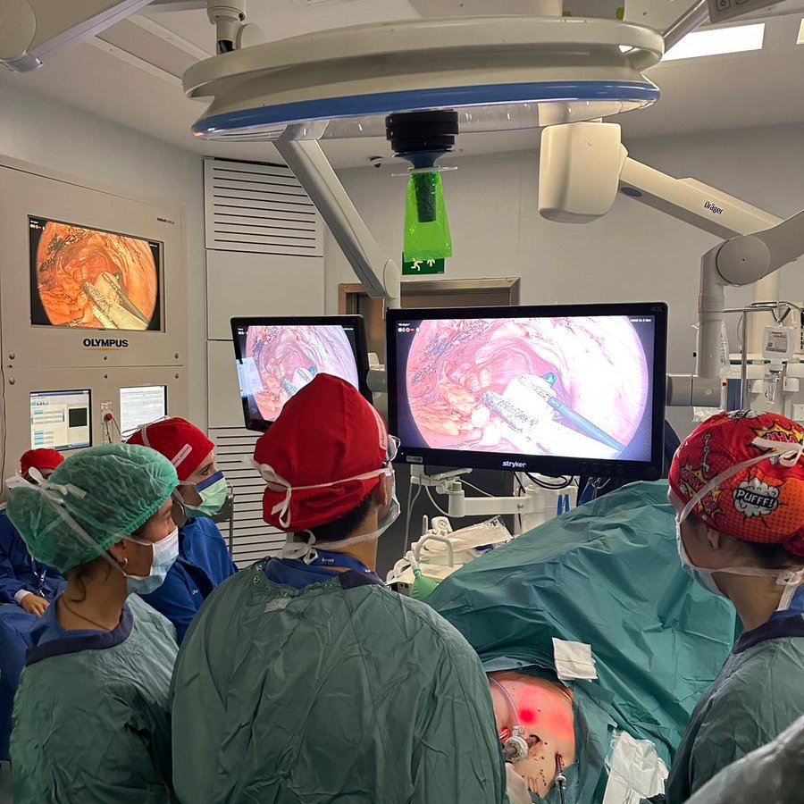 RAMON VILALLONGA (@drvilallonga) on Twitter photo 😷🖊️Final de 2 días de Curso de Cirugía de Revisión bariátrica <a href="/vallhebron/">Vall d'Hebron</a> @Ethicon con cirujanas de toda 🇪🇸! 💪 Charlas, tips and tricks y 5 cirugías de alta complejidad, RGE, hiato, fistulas gastrocólicas... Nos ha encantado estar aquí y compartirlo TODO !! <a href="/obesidadSECO/">SECO - Sociedad Española de Cirugía de la Obesidad</a> Fase 3 😷🖊️Final de 2 días de Curso de Cirugía de Revisión bariátrica <a href="/vallhebron/">Vall d'Hebron</a> @Ethicon con cirujanas de toda 🇪🇸! 💪 Charlas, tips and tricks y 5 cirugías de alta complejidad, RGE, hiato, fistulas gastrocólicas... Nos ha encantado estar aquí y compartirlo TODO !! <a href="/obesidadSECO/">SECO - Sociedad Española de Cirugía de la Obesidad</a> Fase 3