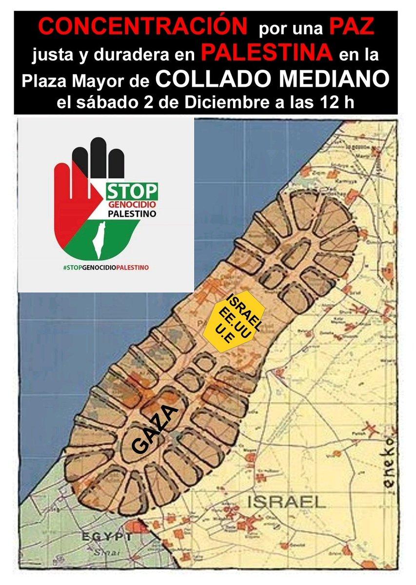 #paz 
#palestina
#ColladoMediano