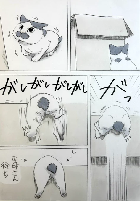 まいにちノリ吉
