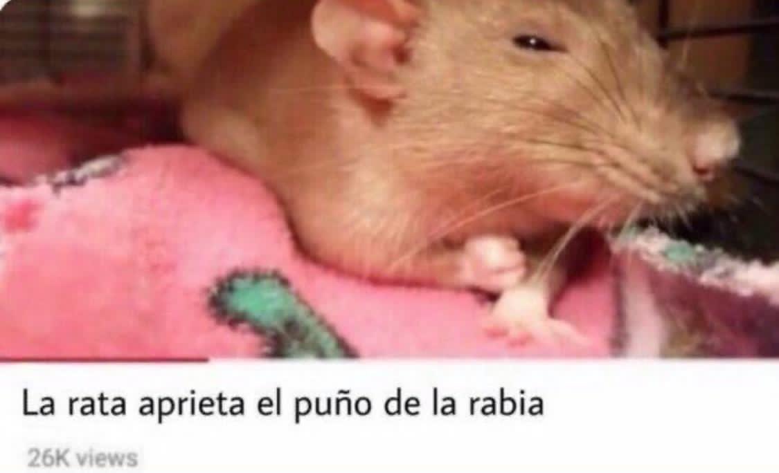 payasyn_'s tweet photo. Dos imágenes que se entienden https://t.co/ZXOgPoyVt7