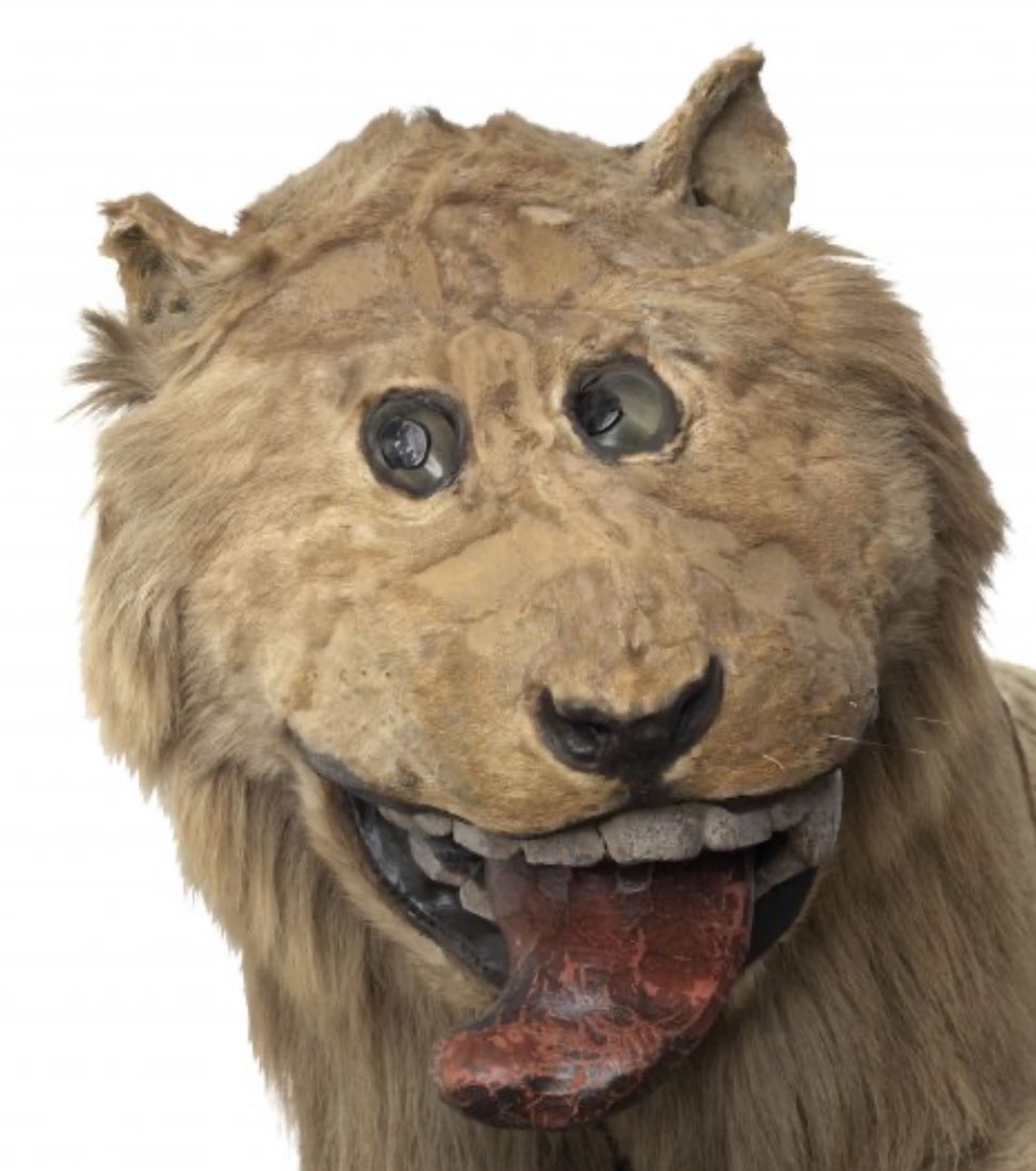 Johan Eriksson (@sojohanso) on Twitter photo 