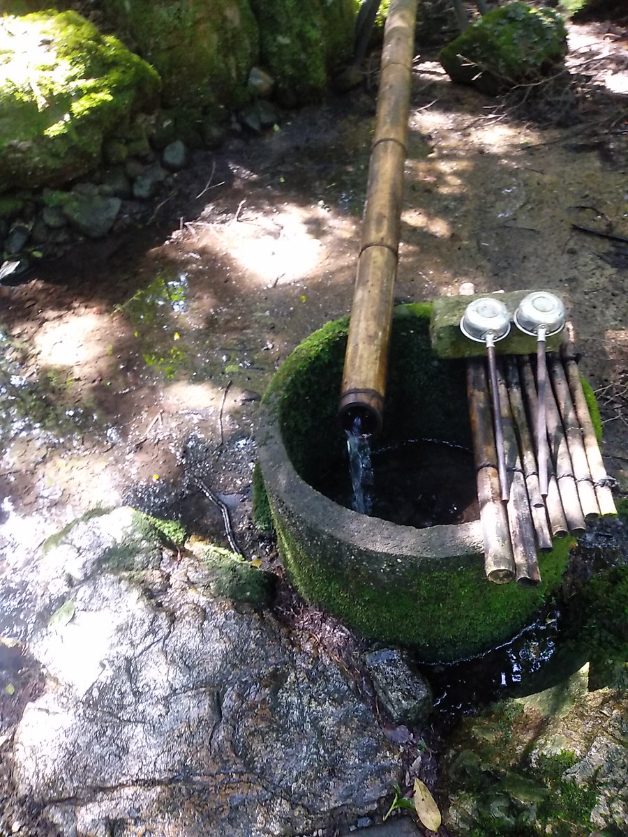 おはようございます