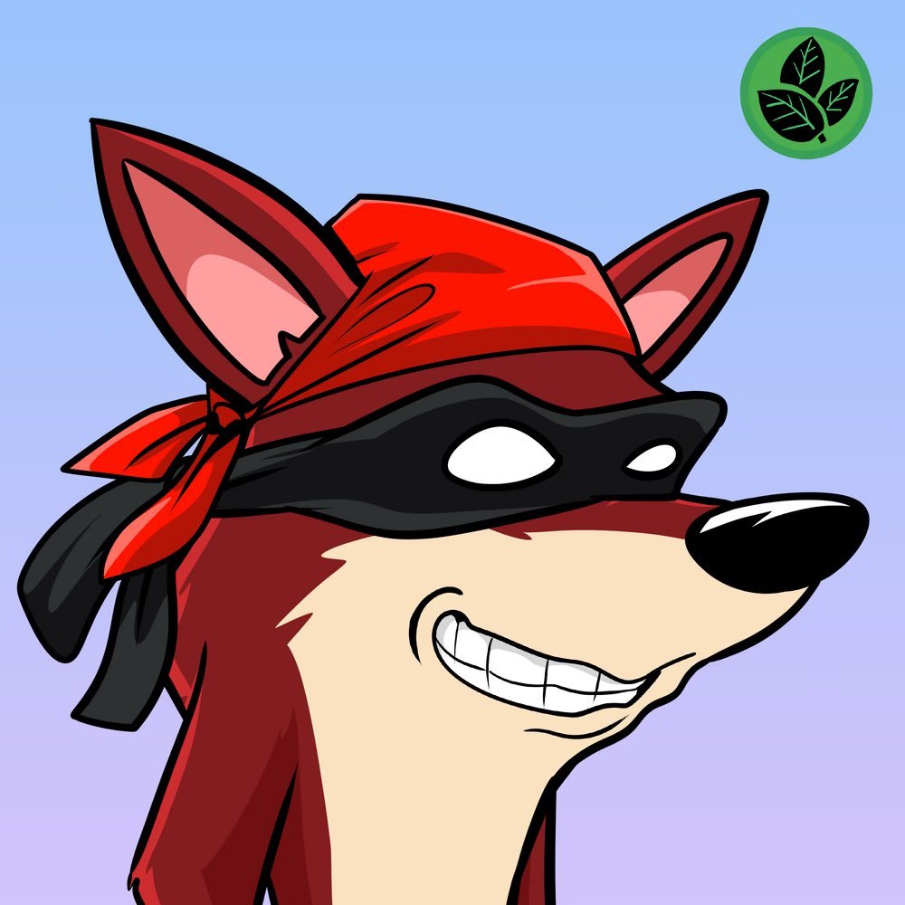 Bandicoots tweet media