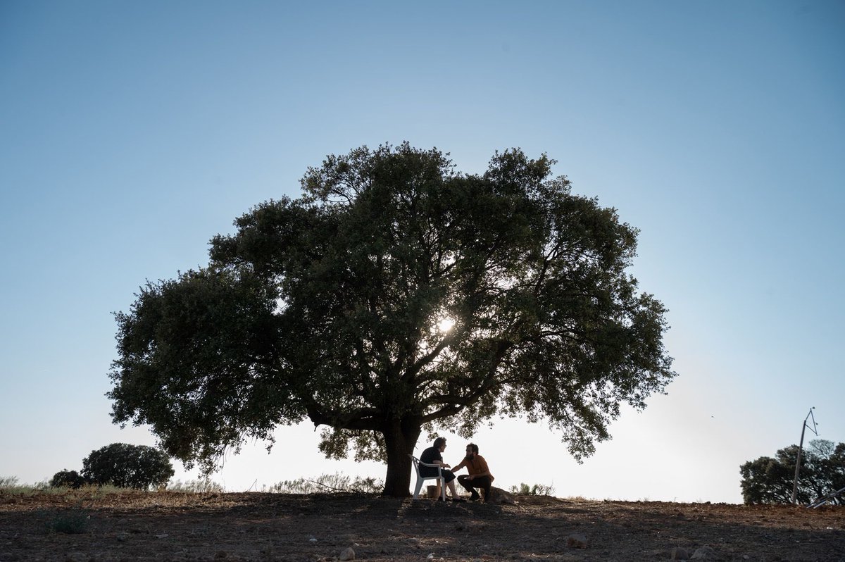 Almu_Alpu's tweet photo. Esta escena ya es parte de la historia de la ficción española.

Un momento que nos hiela el alma y nos lleva más allá de lo que viven Carlos y Herminia. Nos traslada a nuestras propias historias, a nuestros recuerdos.

Sit Tibi Terra Levis querida Herminia 💐💫❤️

#CuéntameFinal https://t.co/MkDIxECUqn