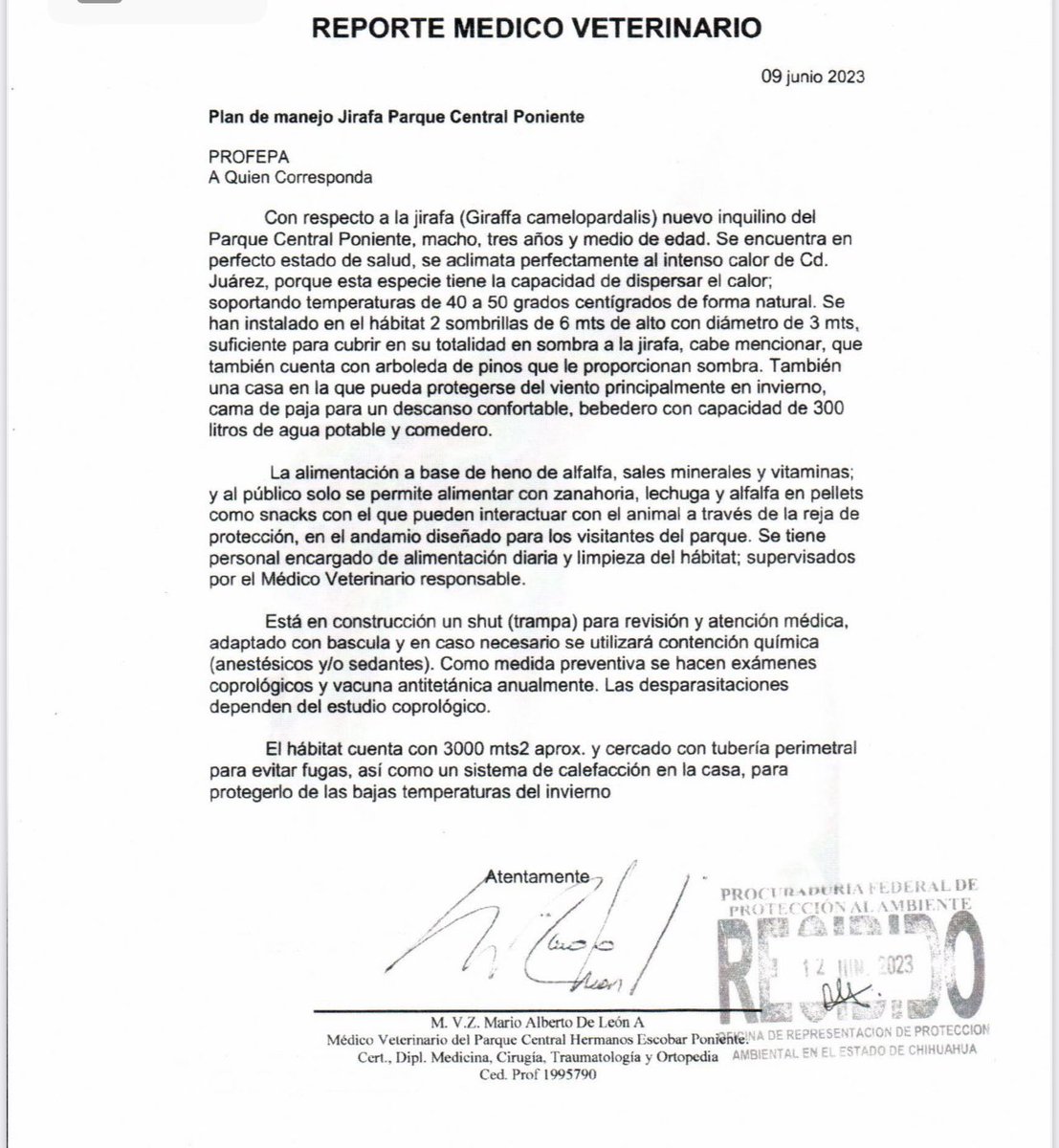 SalvemosABenito's tweet photo. Hagamos esto viral!
Esto es lo que venimos denunciando con Benito desde hace 6 meses, el Parque Central MIENTE y @PROFEPA_Mx válida mentiras. El MVZ dijo el 9 de junio que la casa tenia calefacción y APENAS la están construyendo. Por eso no pasa nada porque ellos mismos se cuidan https://t.co/LKNKZXgmmT