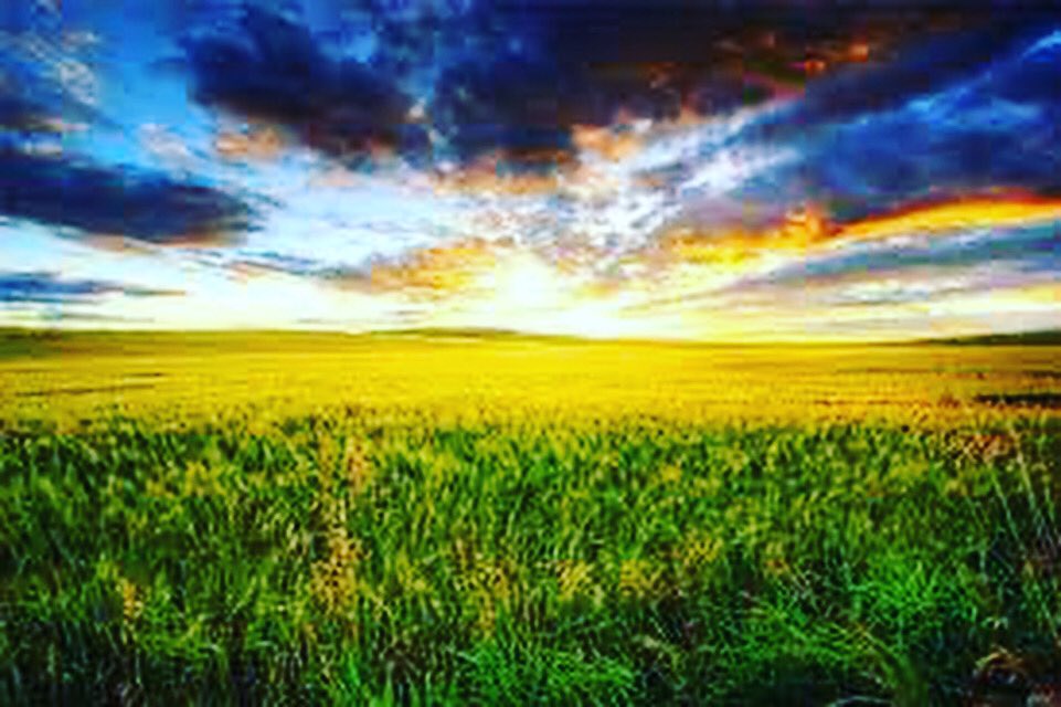 SovereignTechQ's tweet image. #breath #sovereign remote facilities never looked so good.