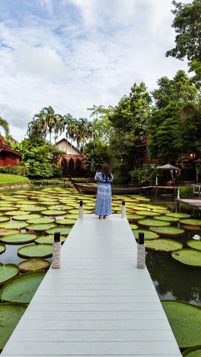 المقاهي مختلفة تماماً في بوكيت ♥️☕️

.