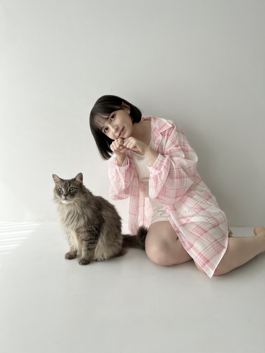 猫しか勝たんฅ(□-□ฅ)