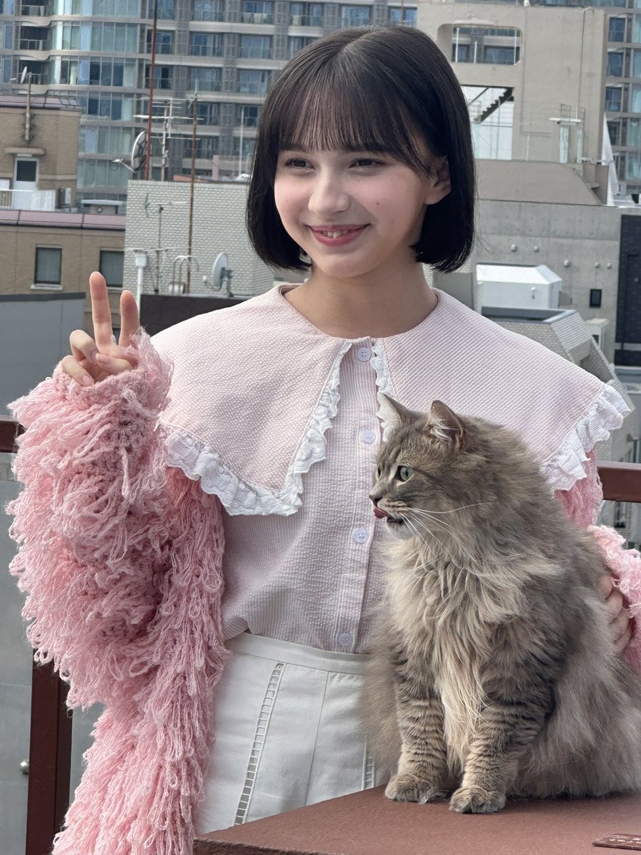 猫しか勝たんฅ(□-□ฅ)