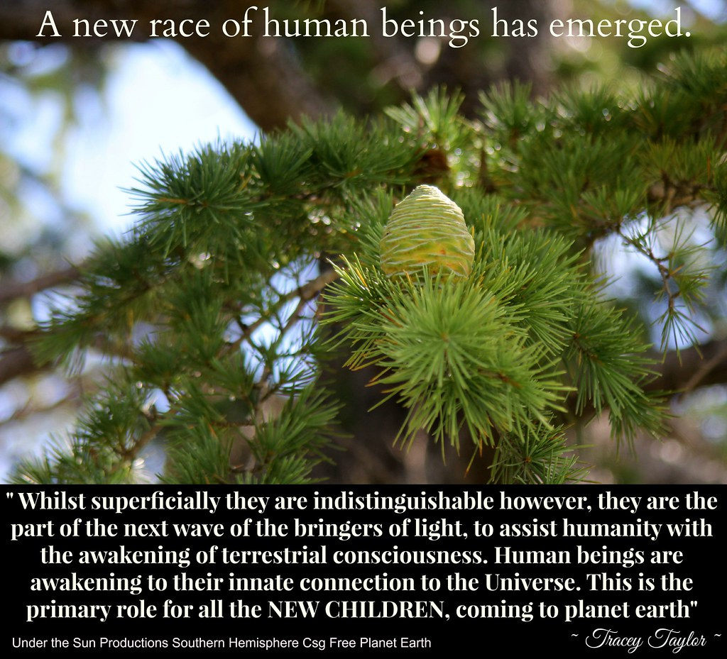 atomicskunk's tweet photo. #newhumans #5d #lightworkers #rainbowchildren #starseeds #wanderers #5dascension #aquarianage #childrenofthesun #childrenofthelight #childrenoflight #1111 #lightwarriors #5thdimension #cosmicconsciousness #higherself #lightworker #oneness #pleiadians #newchildren #newearth https://t.co/bh0s93vN3b