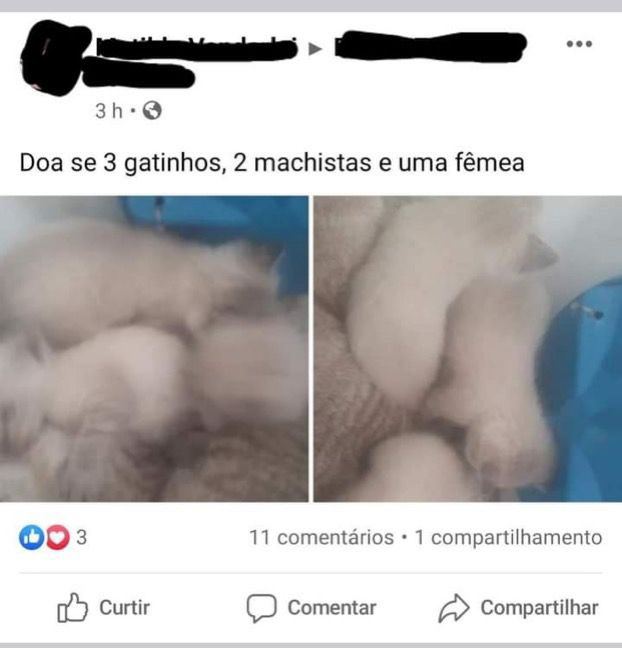 salu70220788's tweet image. 