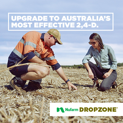 Steve Manning tweet media