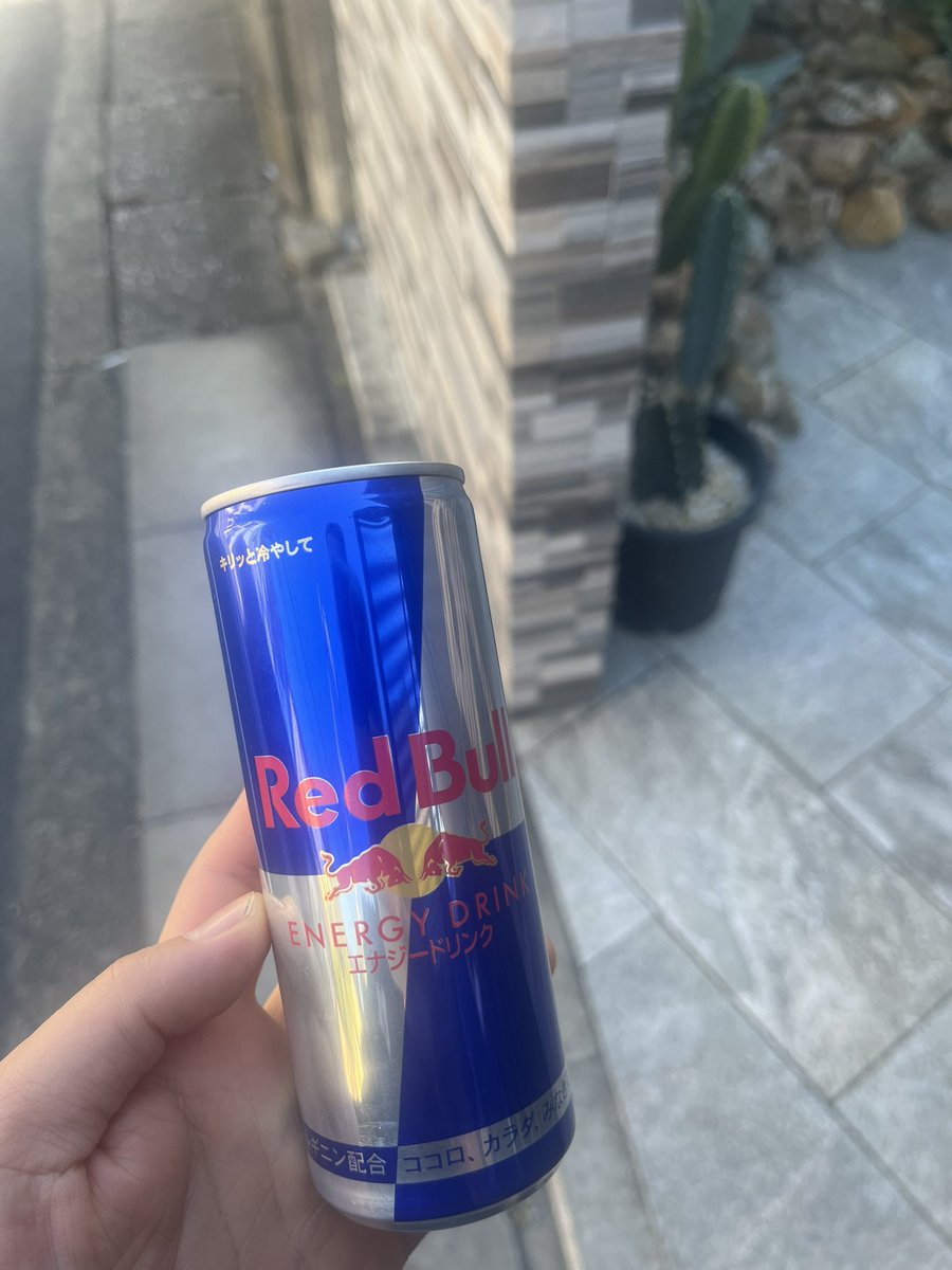 yukio_b's tweet photo. 暖かいから日向ぼっこしてたら
おばあちゃんが仕事大変よね〜って
これで飲み物でも買いなさいって200円くれた。

長生きしてください https://t.co/LnIIsNtmUH
