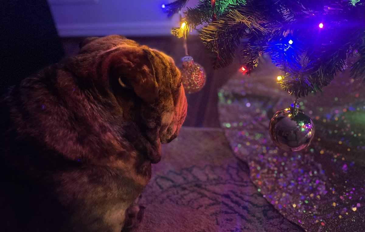 We’re getting into the Christmas spirit