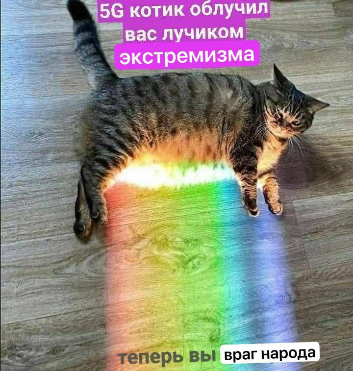seaofisabella's tweet photo. Утречко. https://t.co/dt0XK7vwSw