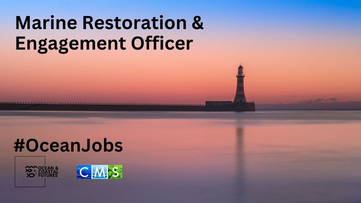 New job opportunity: Marine Restoration & Engagement Officer - @GWKNEC ▪️Salary: £25k ▪️Location: Sunderland/home ▪️Full details here 👉cmscoms.com/?p=37136 Sign up for our CMS/OCF #OceanJobs alerts here 👉 bit.ly/3MiyV7i @StrongerShores @ZSLMarine @Wild_Oysters