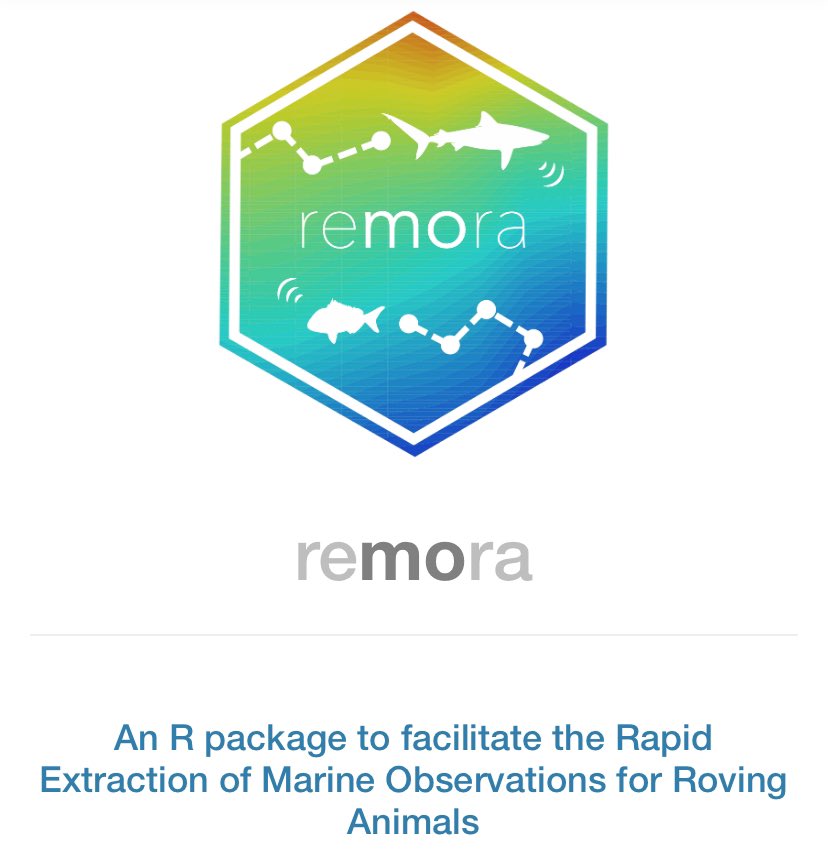 SouthernSharkEG (@southernsharkeg) on Twitter photo Latest IMOS bulletin is out featuring <a href="/TMClarke95/">Thomas Clarke</a> new paper on kingfish activity along southern and eastern Australia using the #Remora package mailchi.mp/3426a33cec38/i… Latest IMOS bulletin is out featuring <a href="/TMClarke95/">Thomas Clarke</a> new paper on kingfish activity along southern and eastern Australia using the #Remora package mailchi.mp/3426a33cec38/i…