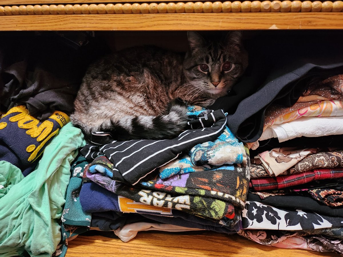 NotDenaerys / Ali Banner tweet media