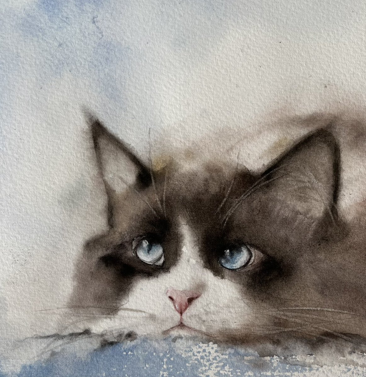 #watercolor #水彩画　#透明水彩　#catportrait #catart #猫絵　#畑尾洋子　#hataoyoko