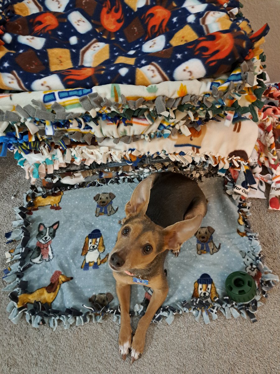 Tokyo Dog Designs tweet media