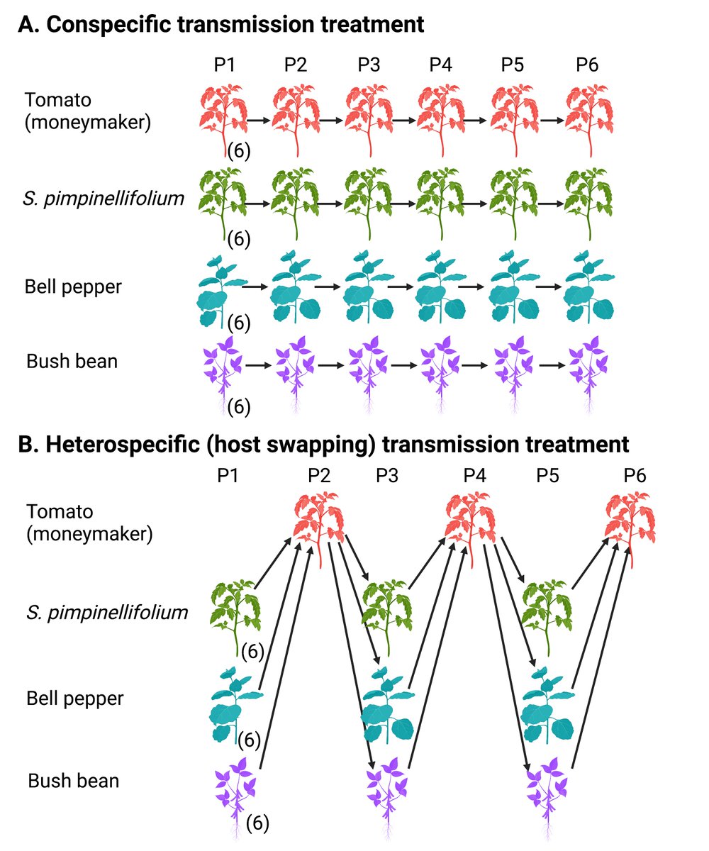 Kyle Meyer tweet media