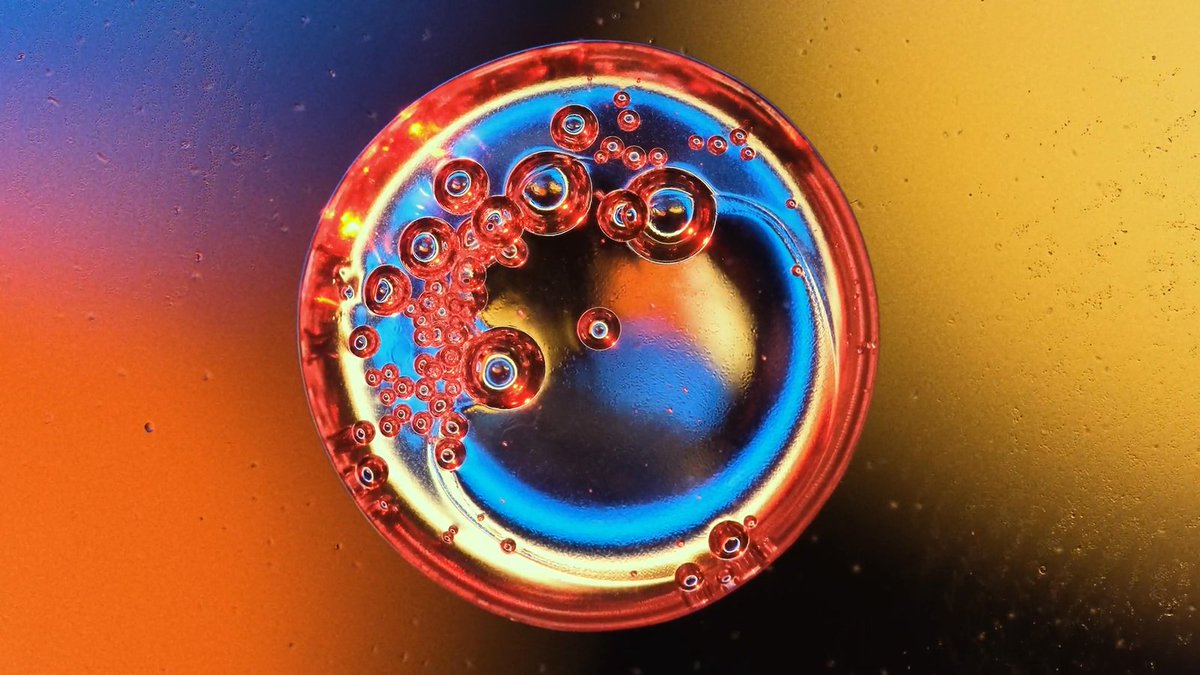 vibesarefree's tweet photo. just can't get enough of this new #musicvideo 'Observer' by @DreamersDelight in a collaboration with scientist/graphic artist Kamil Czapiga aka Cosmodernism (see the IG)
Enjoy the cosmic ride on Earth here
🌐https://t.co/0b6IGk8VbX
#NewMusic
#KeepItWeird
#EnjoyTheGoodStuff https://t.co/kehjLKNxNC