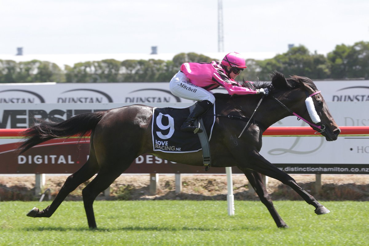 nzracingnews's tweet image. NEWS: Trainer Wayne Hillis is looking to make the most of the new innovation races and is hoping #Complicate earns a spot in the $350,000 Remutaka Classic when lining up at Wanganui on Saturday.
racingnews.co.nz/complicated-ai…