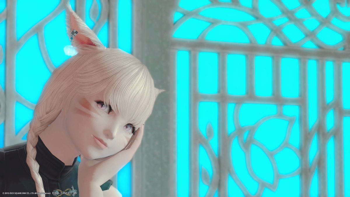 karingrey14's tweet photo. ᵍ ᵒ ᵒ ᵈ  ᵐ ᵒ ʳ ᐢ ⁱ ᐢ ᵍ 🔅

おかえりメスッテ🐈🐾

 #おはミコ
 #NS_DIR https://t.co/txLKMtdm2V