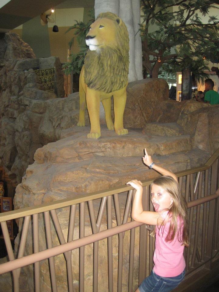 kylie madura (@kyliemadura) on Twitter photo Can’t wait to join the Pride!! #PAWSUP 🦁🖤💛 <a href="/PNWSoftball/">PNW Softball</a> <a href="/tkzink247/">Tristan Zink</a> <a href="/claireschapker/">Claire Schapker</a> <a href="/nwisoxfastpitch/">nwisoxfastpitch</a> <a href="/ExtraInningSB/">EXTRA INNING SOFTBALL</a> @WJOB_JEDtv <a href="/MunsterSoftball/">Munster Softball</a> Can’t wait to join the Pride!! #PAWSUP 🦁🖤💛 <a href="/PNWSoftball/">PNW Softball</a> <a href="/tkzink247/">Tristan Zink</a> <a href="/claireschapker/">Claire Schapker</a> <a href="/nwisoxfastpitch/">nwisoxfastpitch</a> <a href="/ExtraInningSB/">EXTRA INNING SOFTBALL</a> @WJOB_JEDtv <a href="/MunsterSoftball/">Munster Softball</a>