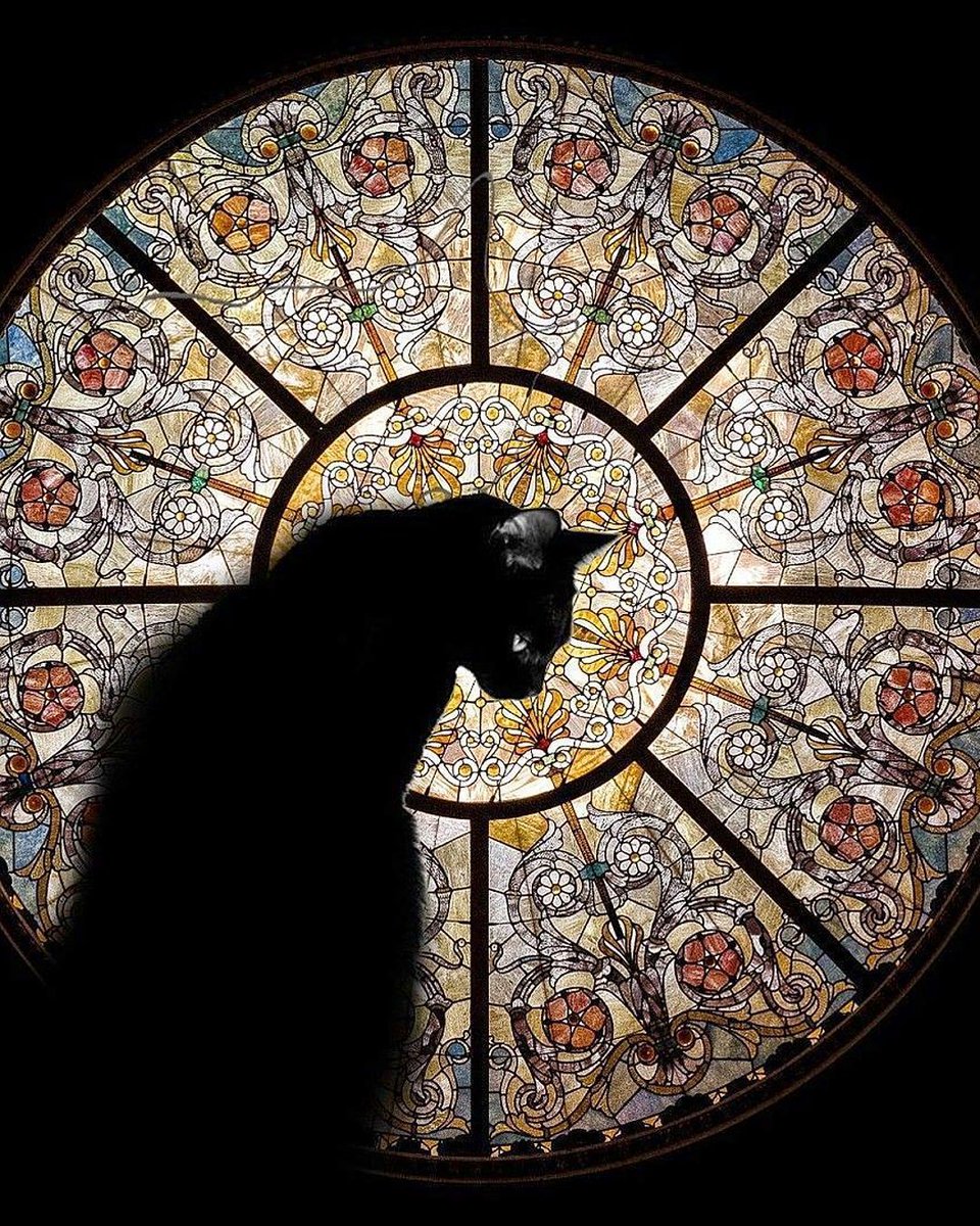 fubiz's tweet photo. Stained Glass Black Cat ๐โโฌ by https://t.co/RQnko0PtgB
#cat #catlovers #purfect #photography https://t.co/SWgr9sCNNi
