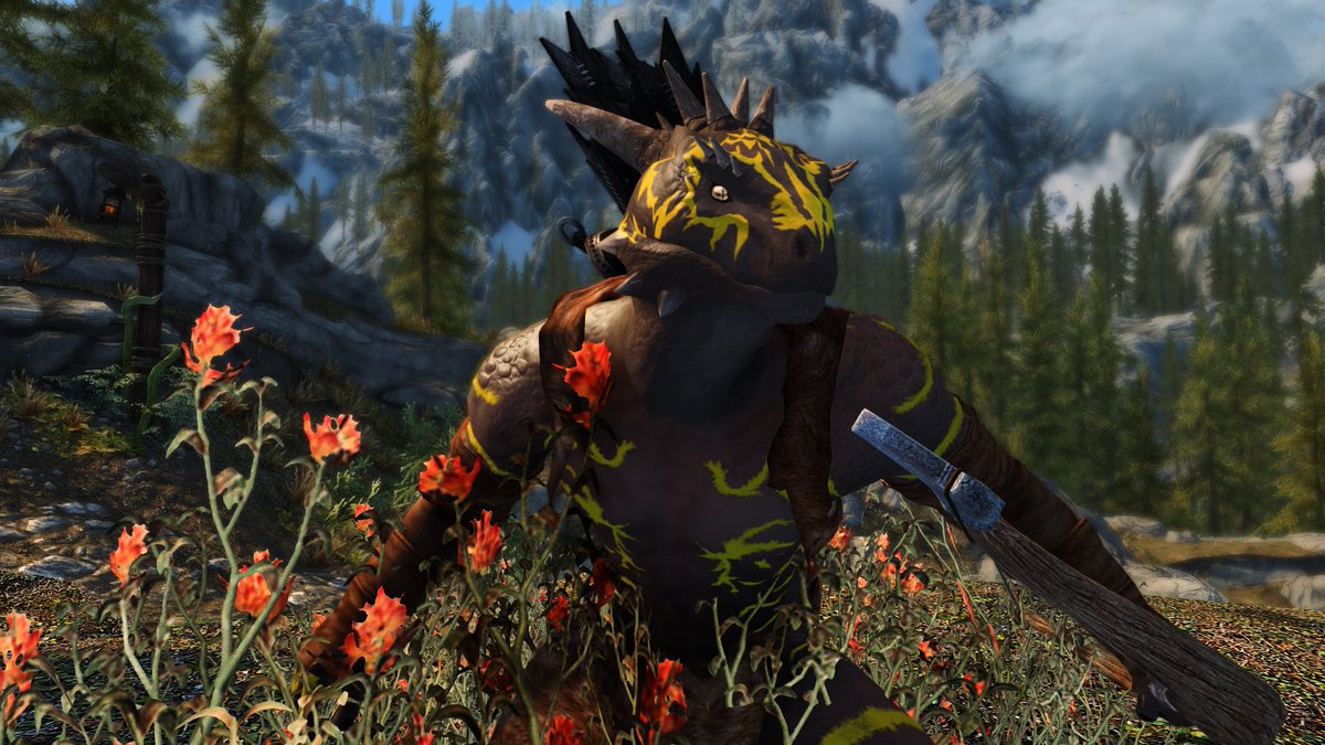 Perrote Moradote AD 🔞 tweet media