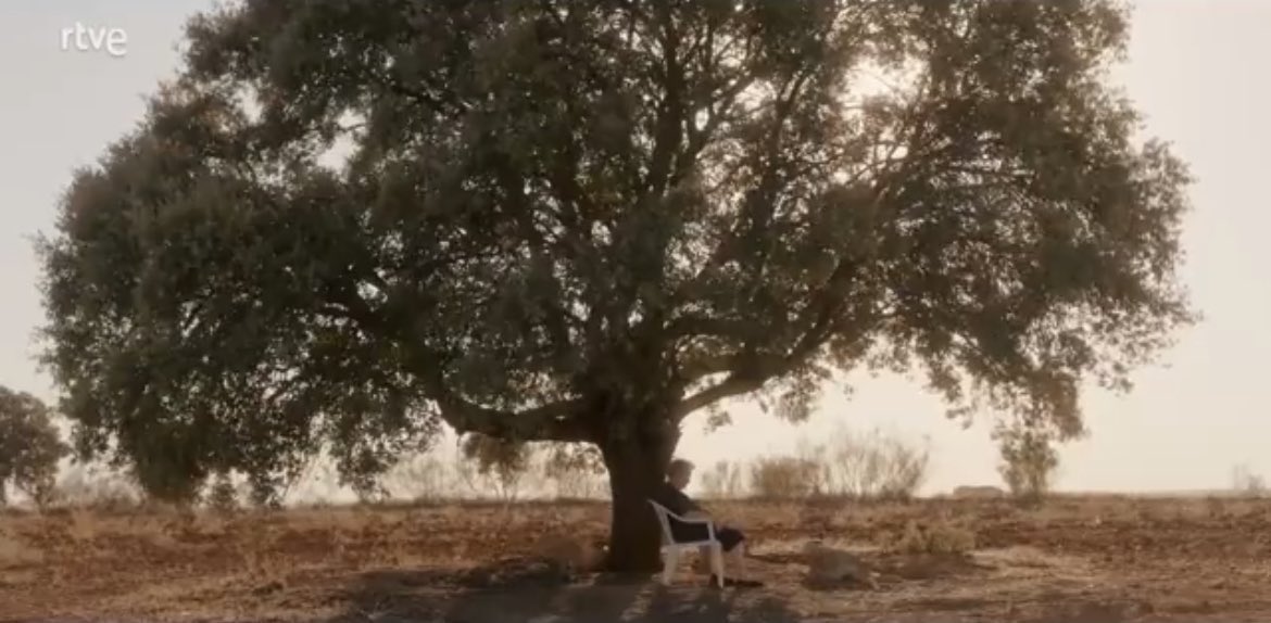 alehuelva's tweet photo. Muchos años semana a semana y un inmejorable desenlace. Probablemente la última serie que veré en televisión convencional. #CuéntameFinal https://t.co/PpbJmaNli5