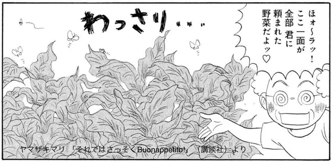 実家へ戻ってみると白菜を植えたはずの菜園に、ジャングルで見かけるような植物が鬱蒼と生えていた。なるほど、白菜の栽培は失敗してしまったのだろう。
「で、これは何の植物ですか」と、私は謎の植物を指して義父にたずねてみた。
「何って白菜だよ」

「貧乏ピッツァ」抜粋
https://t.co/n6XzuQpLIZ 