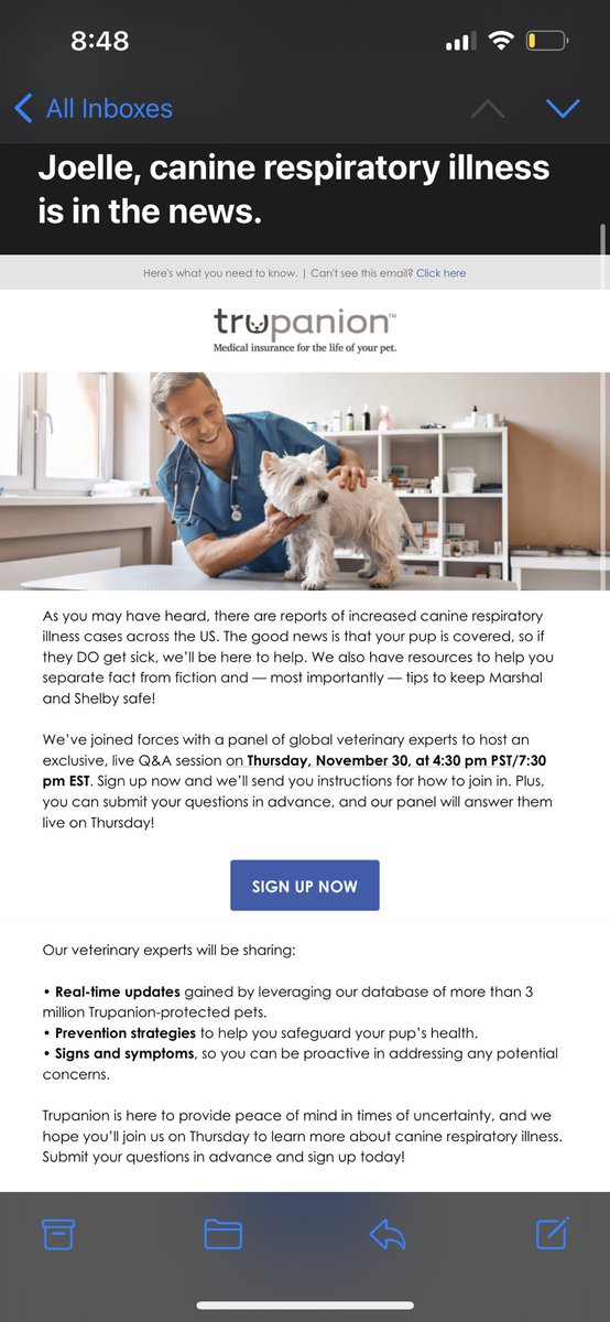 spicygremlinNL's tweet image. Watch now, premiums gone through the Jesus roof again 🥴🙄 #NotCovered