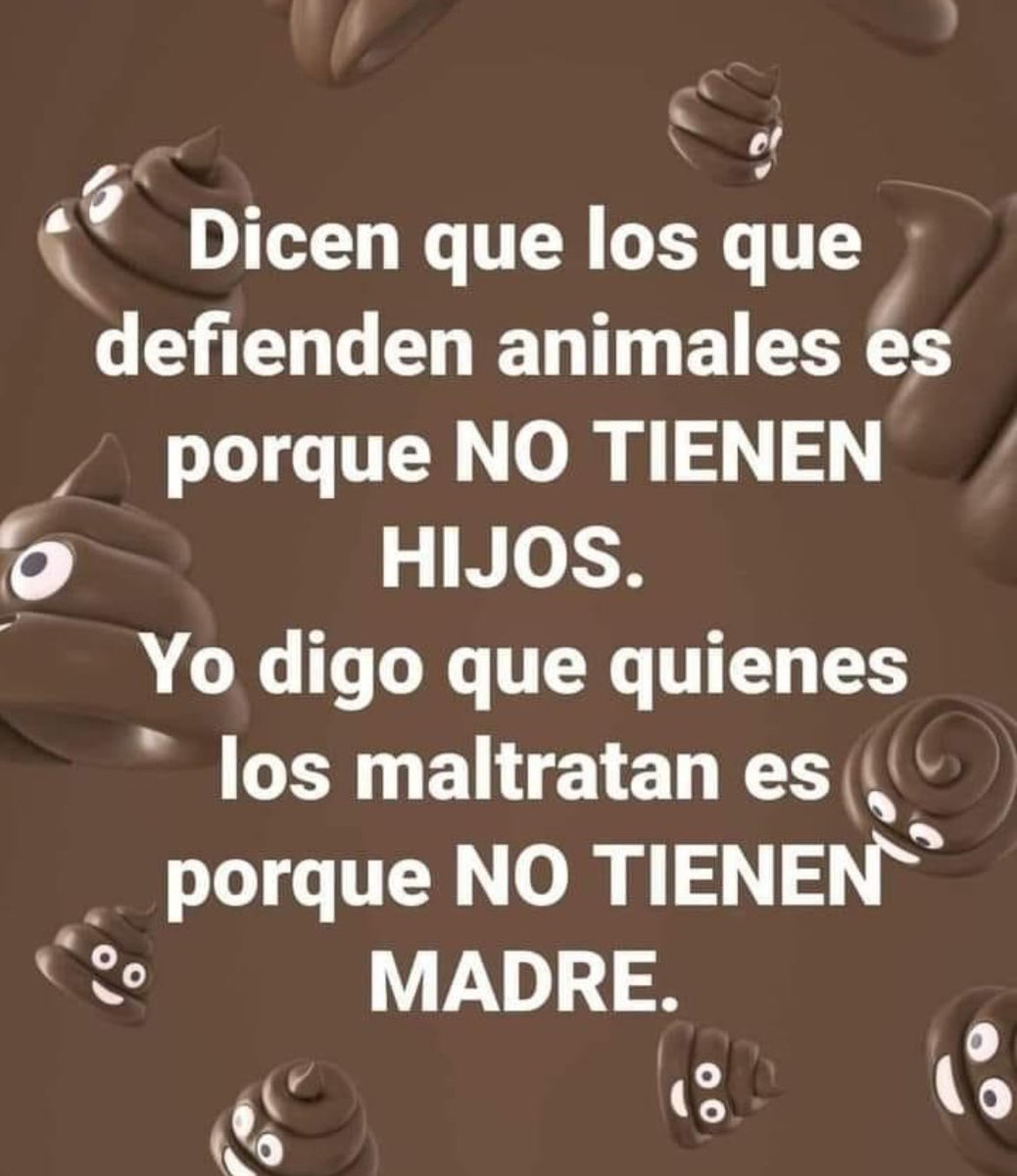 Saludos a quienes nos critican por tener perros y no tener hijos humanos