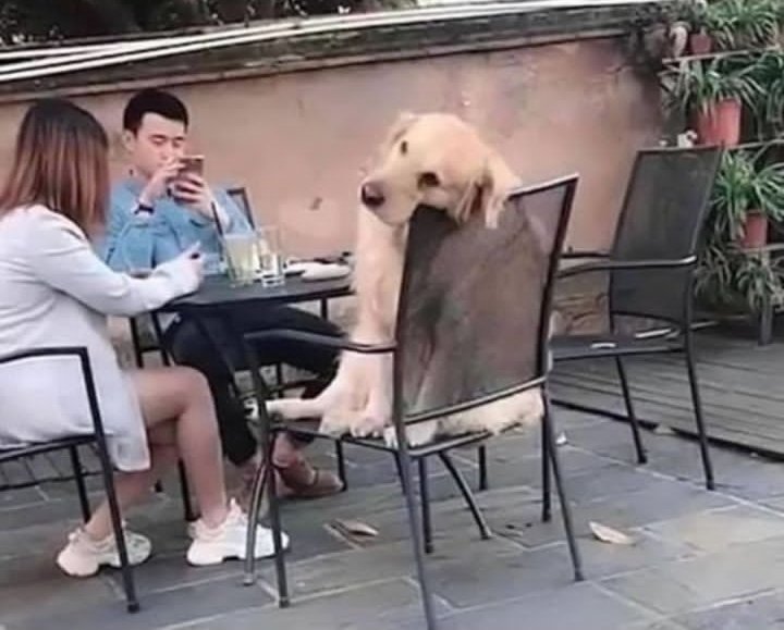 Cuando andas con amigos y se te acaba la batería de socializar
