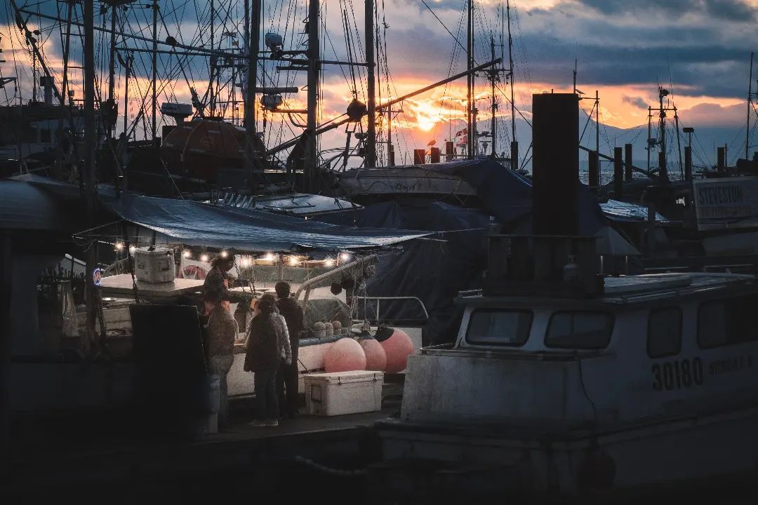 Fishermans Wharf

📷 @shutterlab.ca

#insteveston #vancouver #canada #vancity #yvr #britishcolumbia #vancouverbc #bc #photography #fishermanswharf #steveston #richmondmoments