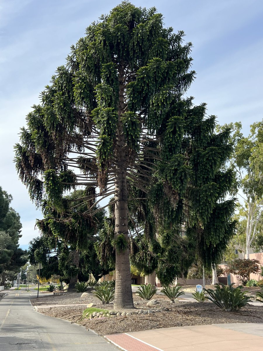 David Meyer tweet media