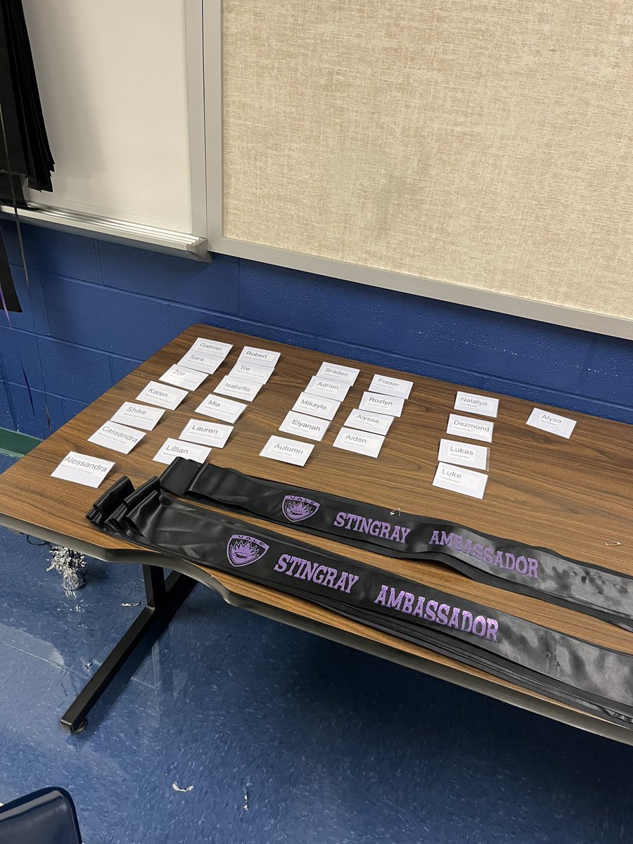 MissDLS_NISD's tweet photo. It’s almost time! Finishing up preparations for our first Stingray Transition Camp tomorrow! #RaysUp #FutureStingrays https://t.co/cEsLtYfbM1