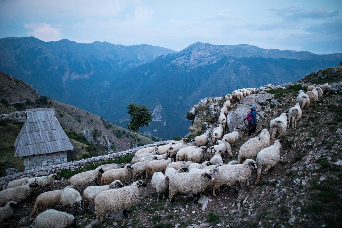 BosnianHistory's tweet photo. @Culture_Crit Our humble offering:

Lukomir, Bosnia and Herzegovina 🇧🇦 https://t.co/8AVVXFItF0