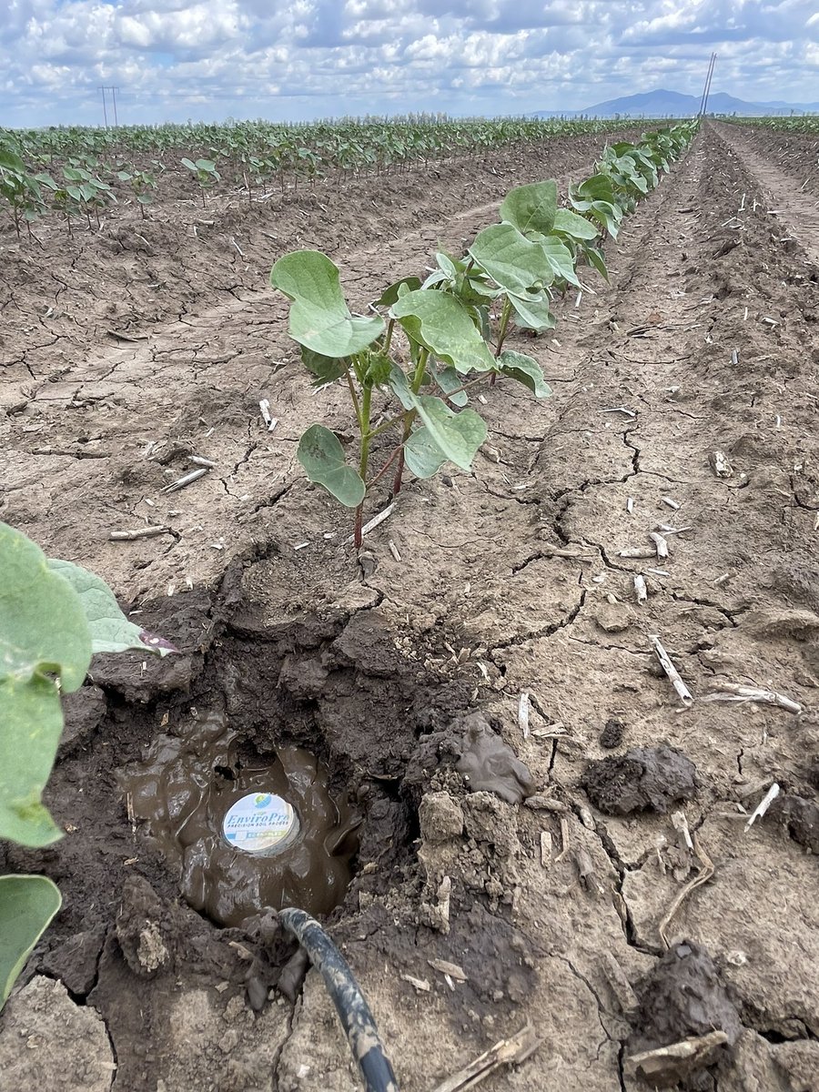 Porosity Services tweet media