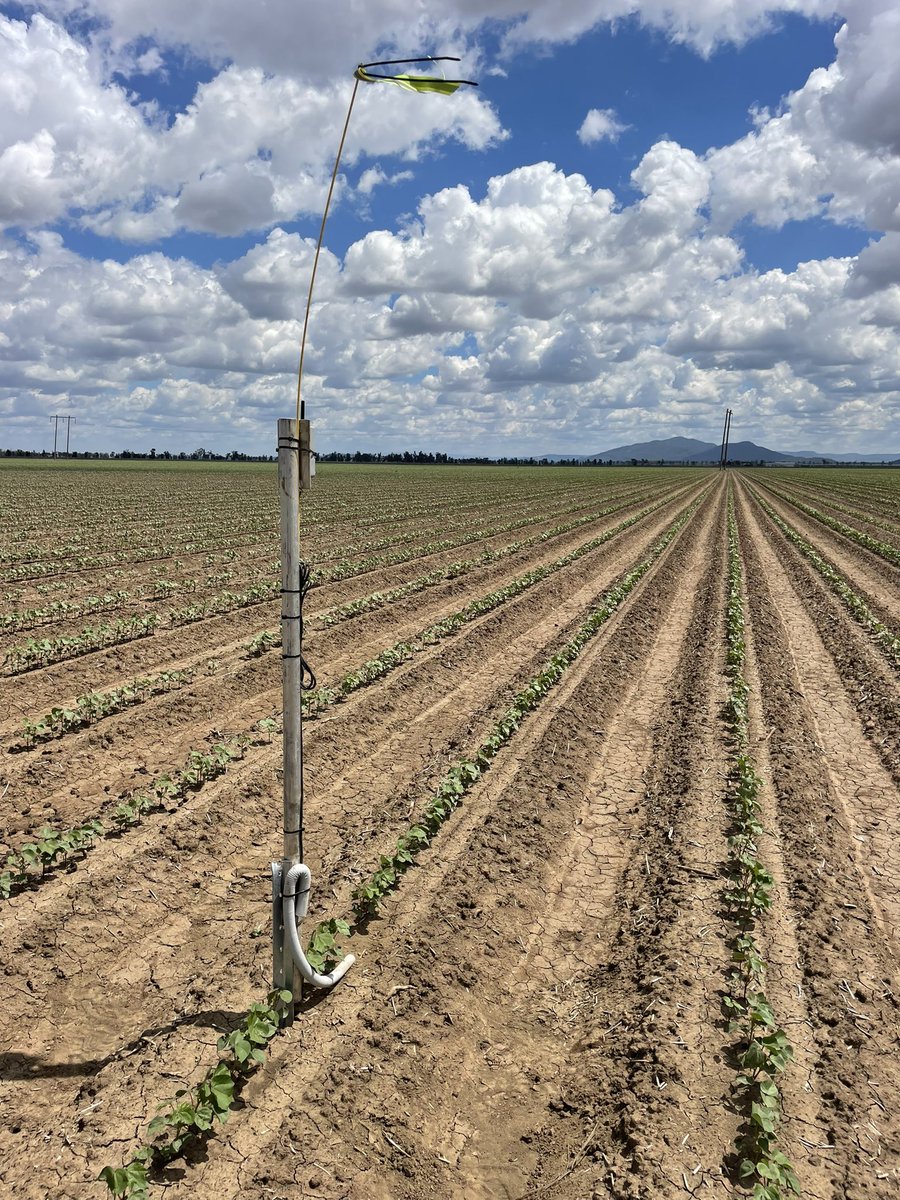 Porosity Services tweet media