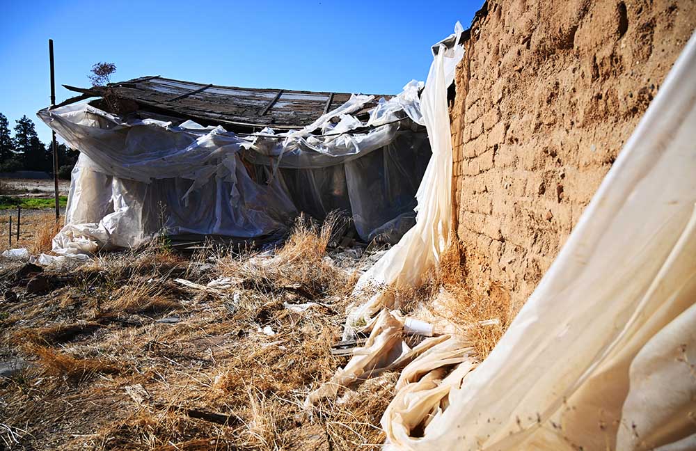 eric zamora tweet media