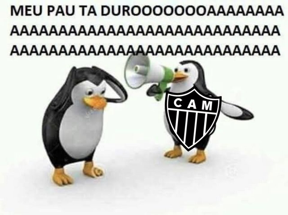 cachorrofute's tweet photo. FIM DE JOGO 

FLAMENGO 0x3 ATLÉTICO MINEIRO 
⚽️Paulinho 8' [1T]
⚽️Edenilson 2' [2T]
⚽️Rubens 35' [2T]

GALO SERÁ CAMPEÃO 

#FLAxCAM https://t.co/Im7MNACz1P