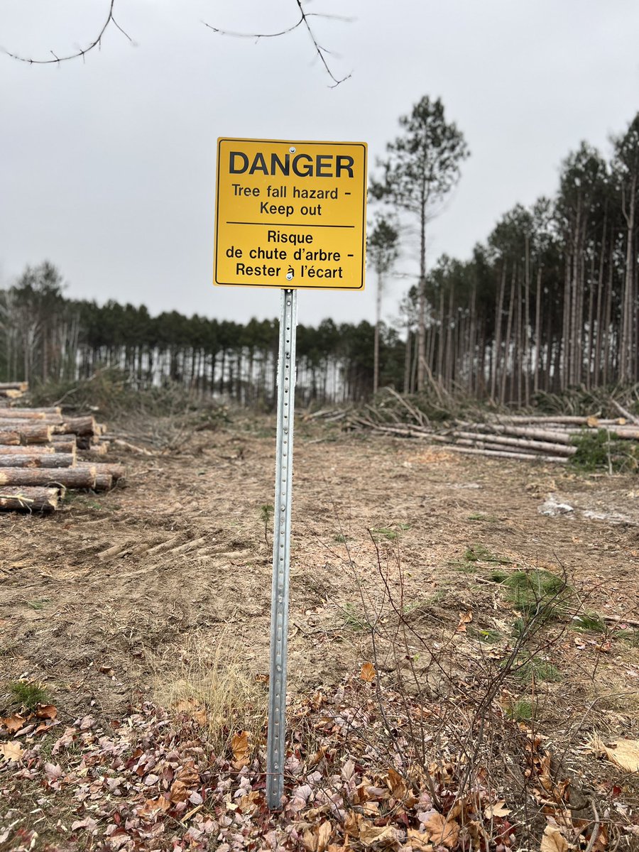 feathermoss's tweet photo. @_MarkSutcliffe @porterairlines Thanks for being such a swell neighbour @FlyYOW.
Think I would rather drive to any other town…if I had to fly out of #Ottawa.
#CommunityEngagement 
#UrbanParkplatform @liberal_party -cowards…
in the battle of 
EGO vs ECO #SaveHuntClubForest 
All of Ottawa lost. https://t.co/CLojsfkmmY