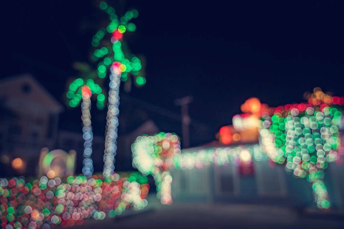 floridalimorent's tweet photo. The New Year will bring new plans in your way and if you plan a road trip or a holiday in and around Bithlo, FL 32820 you sure would like our Limousine Service for Bithlo by Florida Limousine Rental. 

Book your Bithlo Car and Limo Service ⏬⏬
https://t.co/JdkcikVtYQ https://t.co/yh9pCwrMHa