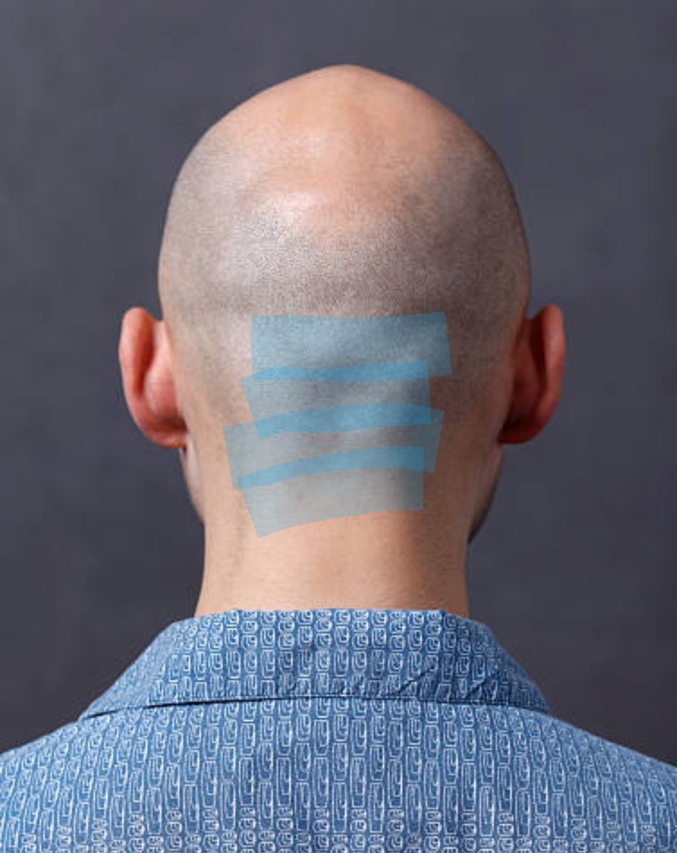 Melissa Rose tweet media